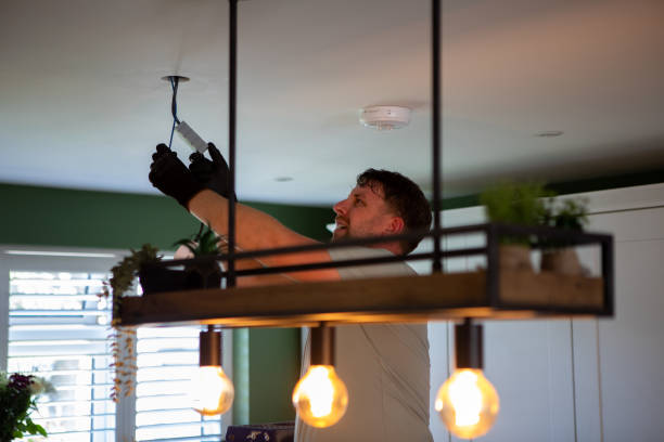 Best Home Electrical Repair  in Ventress, LA