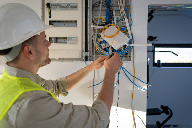 Best Electrical System Inspection  in Ventress, LA